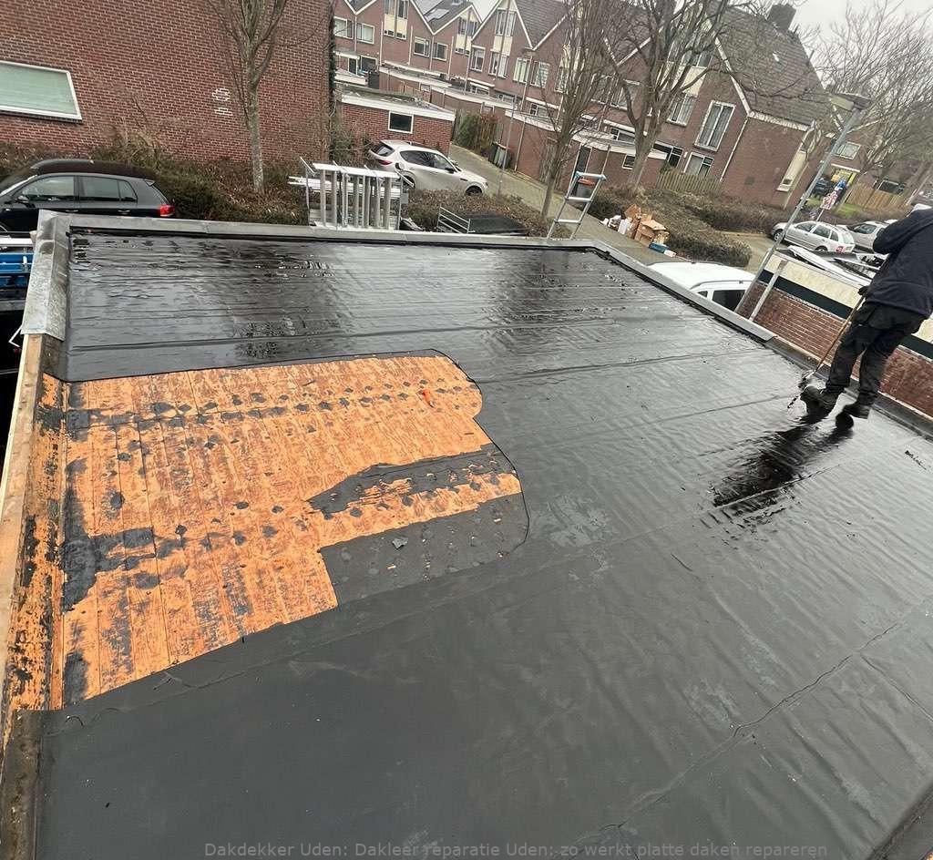 Dakleer Reparatie Uden