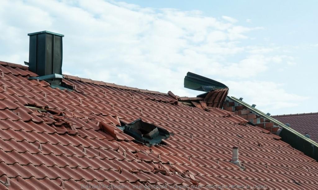 Dakreparaties Uden