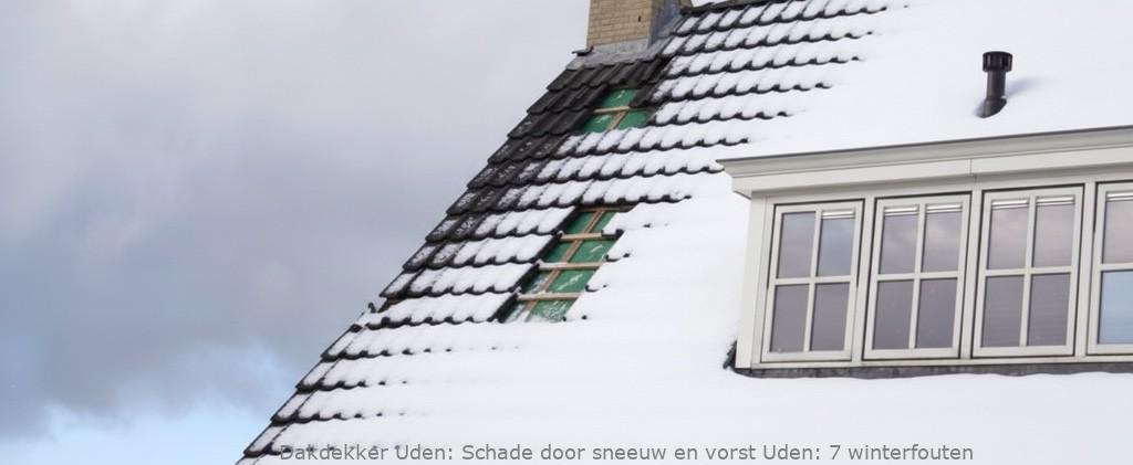 Schade Door Sneeuw En Vorst Uden