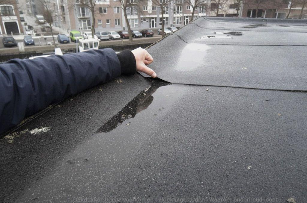 Voorkomen Daklekkages Uden